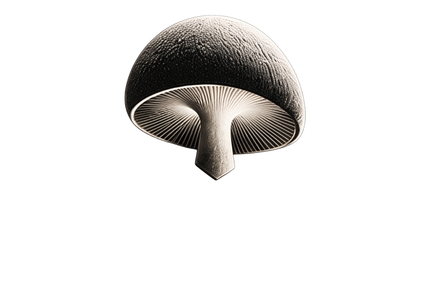 VELORA